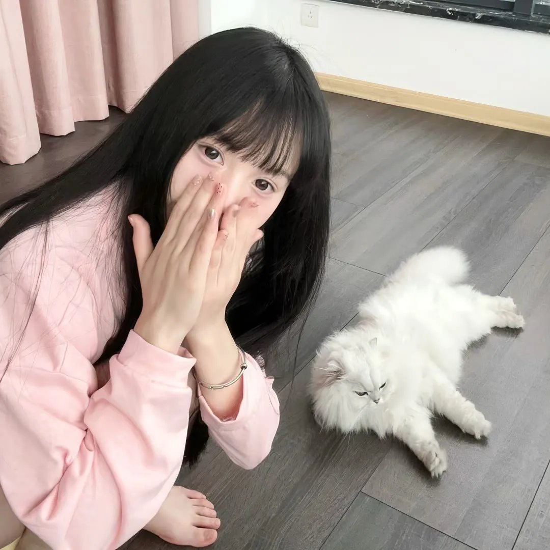 诺娃队长